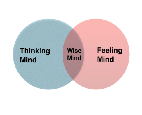 Overlapping circles of thinking and feeling minds creating hybrid wise mind.