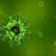 Picture of coronavirus cvid-19